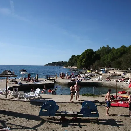 In With Swimming Pool *