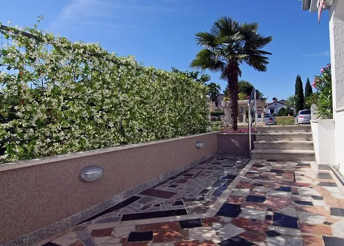 In With Swimming Pool *