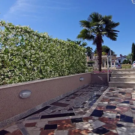 In With Swimming Pool *