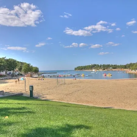 In With Swimming Pool