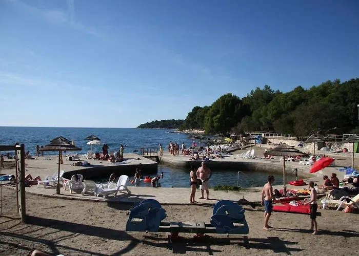 In With Swimming Pool *