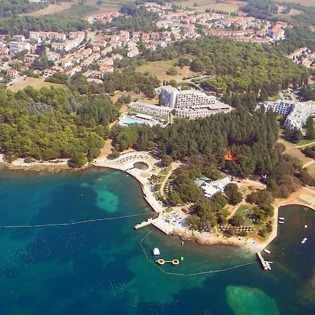 In With Swimming Pool