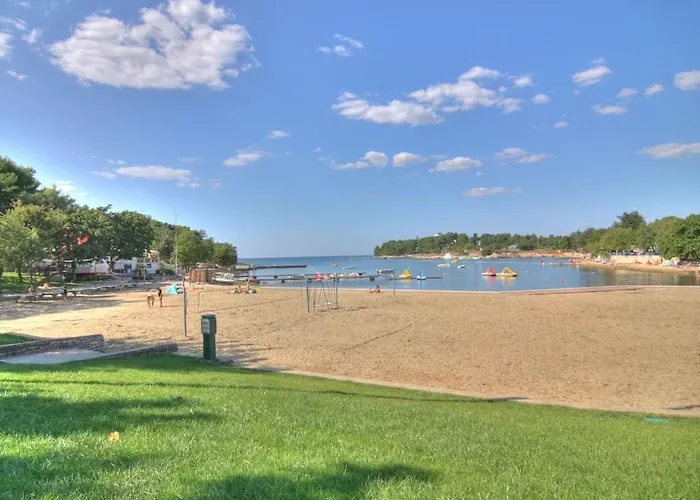 In With Swimming Pool